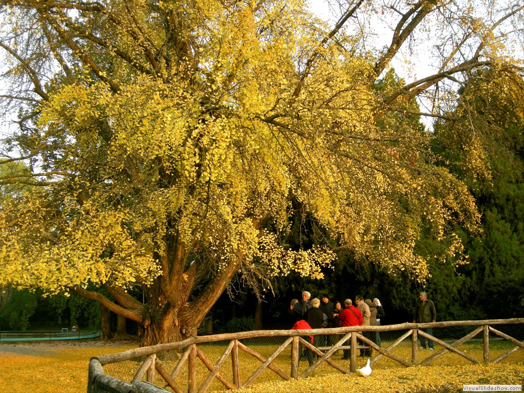 Formigine 23Nov2011 009