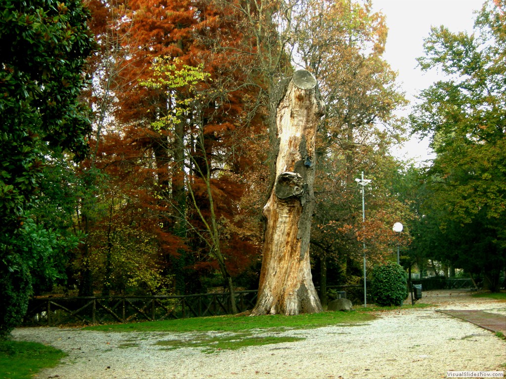 Formigine 23Nov2011 020