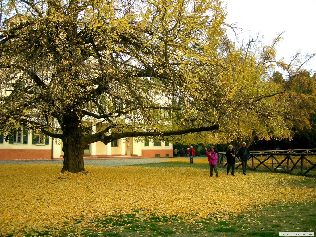 Formigine 23Nov2011 043