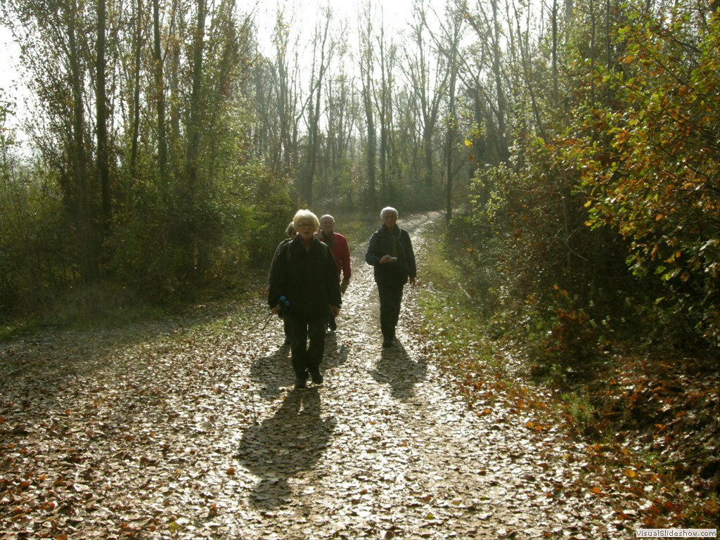 Vignola 23Nov2011 022