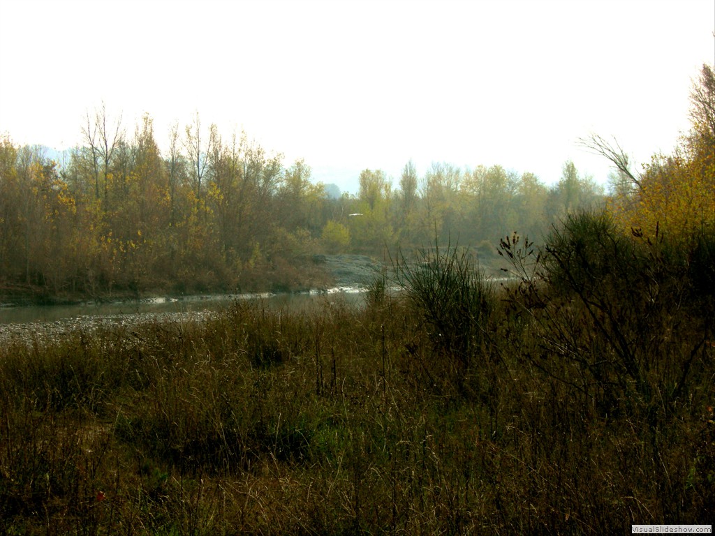 Vignola 23Nov2011 033