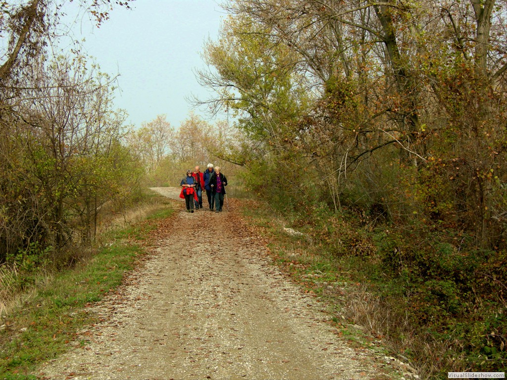 Vignola 23Nov2011 038