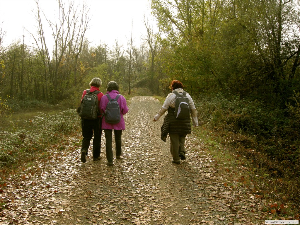 Vignola 23Nov2011 039