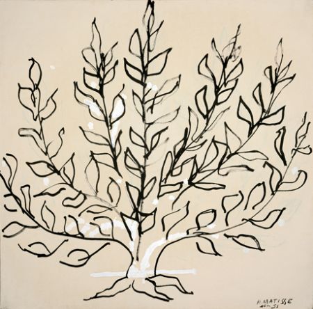 Matisse Il cespuglio